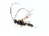  ( - CGTURK-0815)  @12 [ ] Unspecified (default): All Rights Reserved  Unspecified Unspecified