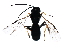  ( - CGTURK-1166)  @12 [ ] CreativeCommons - Attribution (2009) Unspecified Centre for Biodiversity Genomics