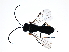  ( - CGTURK-1178)  @12 [ ] CreativeCommons - Attribution (2009) Unspecified Centre for Biodiversity Genomics