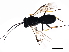  ( - CGTURK-1292)  @12 [ ] CreativeCommons - Attribution (2009) Unspecified Centre for Biodiversity Genomics