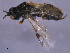  ( - CGTURK-1525)  @12 [ ] CreativeCommons - Attribution (2009) Unspecified Centre for Biodiversity Genomics