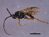  ( - CGTURK-1537)  @12 [ ] CreativeCommons - Attribution (2009) Unspecified Centre for Biodiversity Genomics