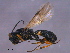  ( - CGTURK-1544)  @13 [ ] CreativeCommons - Attribution (2009) Unspecified Centre for Biodiversity Genomics