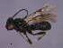  ( - CGTURK-1545)  @11 [ ] CreativeCommons - Attribution (2009) Unspecified Centre for Biodiversity Genomics