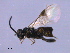  ( - CGTURK-1559)  @13 [ ] CreativeCommons - Attribution (2009) Unspecified Centre for Biodiversity Genomics