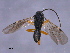  ( - CGTURK-1582)  @12 [ ] CreativeCommons - Attribution (2009) Unspecified Centre for Biodiversity Genomics