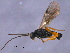  ( - CGTURK-1589)  @12 [ ] CreativeCommons - Attribution (2009) Unspecified Centre for Biodiversity Genomics