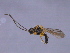  ( - CGTURK-1593)  @12 [ ] CreativeCommons - Attribution (2009) Unspecified Centre for Biodiversity Genomics
