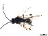  ( - CGTURK-1027)  @12 [ ] Unspecified (default): All Rights Reserved  Unspecified Unspecified