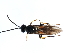  ( - CGTURK-1039)  @13 [ ] Unspecified (default): All Rights Reserved  Unspecified Unspecified