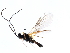  ( - CGTURK-1067)  @12 [ ] Unspecified (default): All Rights Reserved  Unspecified Unspecified