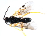  ( - CGTURK-1079)  @12 [ ] Unspecified (default): All Rights Reserved  Unspecified Unspecified