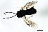  ( - CGTURK-1332)  @12 [ ] CreativeCommons - Attribution (2009) Unspecified Centre for Biodiversity Genomics