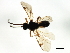  ( - CGTURK-1358)  @12 [ ] CreativeCommons - Attribution (2009) Unspecified Centre for Biodiversity Genomics