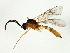  ( - CGTURK-1378)  @14 [ ] CreativeCommons - Attribution (2009) Unspecified Centre for Biodiversity Genomics