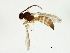  ( - CGTURK-1384)  @12 [ ] CreativeCommons - Attribution (2009) Unspecified Centre for Biodiversity Genomics