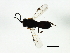  ( - CGTURK-1477)  @12 [ ] CreativeCommons - Attribution (2009) Unspecified Centre for Biodiversity Genomics