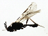  ( - CGTURK-1505)  @12 [ ] CreativeCommons - Attribution (2009) Unspecified Centre for Biodiversity Genomics