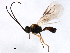  ( - CGTURK-1611)  @12 [ ] CreativeCommons - Attribution (2009) Unspecified Centre for Biodiversity Genomics