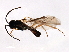  ( - CGTURK-1665)  @12 [ ] CreativeCommons - Attribution (2009) Unspecified Centre for Biodiversity Genomics