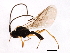  ( - CGTURK-1667)  @13 [ ] CreativeCommons - Attribution (2009) Unspecified Centre for Biodiversity Genomics