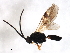  ( - CGTURK-1693)  @12 [ ] CreativeCommons - Attribution (2009) Unspecified Centre for Biodiversity Genomics