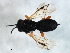  ( - CGTURK-1753)  @13 [ ] CreativeCommons - Attribution (2009) Unspecified Centre for Biodiversity Genomics