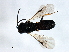  ( - CGTURK-1754)  @12 [ ] CreativeCommons - Attribution (2009) Unspecified Centre for Biodiversity Genomics