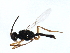  ( - CGTURK-1778)  @14 [ ] CreativeCommons - Attribution (2009) Unspecified Centre for Biodiversity Genomics