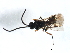  ( - CGTURK-1785)  @12 [ ] CreativeCommons - Attribution (2009) Unspecified Centre for Biodiversity Genomics