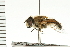  ( - CGDTA-033)  @13 [ ] CreativeCommons - Attribution (2009) Unspecified Centre for Biodiversity Genomics