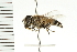  ( - CGDTA-036)  @14 [ ] CreativeCommons - Attribution (2009) Unspecified Centre for Biodiversity Genomics