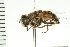  ( - CGDTA-039)  @13 [ ] CreativeCommons - Attribution (2009) Unspecified Centre for Biodiversity Genomics