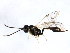  ( - CGTURK-1830)  @12 [ ] CreativeCommons - Attribution (2009) Unspecified Centre for Biodiversity Genomics