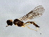  ( - CGTURK-1844)  @12 [ ] CreativeCommons - Attribution (2009) Unspecified Centre for Biodiversity Genomics