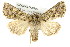  ( - CCGBOLD00200)  @14 [ ] CreativeCommons - Attribution (2010) Unspecified Centre for Biodiversity Genomics