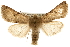  ( - CCGBOLD00008)  @14 [ ] CreativeCommons - Attribution (2010) Unspecified Centre for Biodiversity Genomics