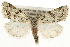  ( - CCGBOLD00018)  @14 [ ] CreativeCommons - Attribution (2010) Unspecified Centre for Biodiversity Genomics
