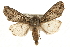  ( - CCGBOLD00053)  @14 [ ] CreativeCommons - Attribution (2010) Unspecified Centre for Biodiversity Genomics