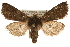  ( - CCGBOLD00056)  @14 [ ] CreativeCommons - Attribution (2010) Unspecified Centre for Biodiversity Genomics