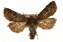  ( - CCGBOLD00057)  @14 [ ] CreativeCommons - Attribution (2010) Unspecified Centre for Biodiversity Genomics