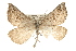  ( - CCGBOLD00084)  @14 [ ] CreativeCommons - Attribution (2010) Unspecified Centre for Biodiversity Genomics
