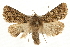  ( - CCGBOLD00116)  @14 [ ] CreativeCommons - Attribution (2010) Unspecified Centre for Biodiversity Genomics