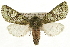 ( - CCGBOLD00120)  @15 [ ] CreativeCommons - Attribution (2010) Unspecified Centre for Biodiversity Genomics