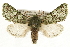  ( - CCGBOLD00121)  @15 [ ] CreativeCommons - Attribution (2010) Unspecified Centre for Biodiversity Genomics