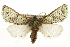  ( - CCGBOLD00122)  @15 [ ] CreativeCommons - Attribution (2010) Unspecified Centre for Biodiversity Genomics