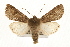  ( - CCGBOLD00138)  @15 [ ] CreativeCommons - Attribution (2010) Unspecified Centre for Biodiversity Genomics