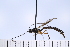 ( - ATBI000015580)  @11 [ ] Copyright (2022) Jeremy Blaschke Union University