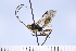  ( - ATBI000015594)  @11 [ ] Copyright (2022) Jeremy Blaschke Union University