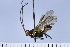  ( - ATBI000015623)  @11 [ ] Copyright (2022) Jeremy Blaschke Union University